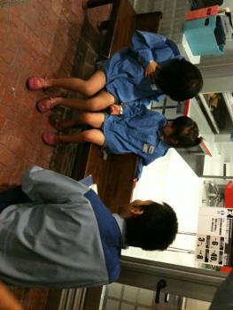 17.25:263:350:0:0:263(W)×350(H) 17.25:left:1:1::