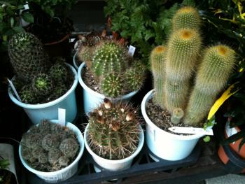 22.89:350:263:0:0:350(W)×263(H) 22.89:left:1:1::